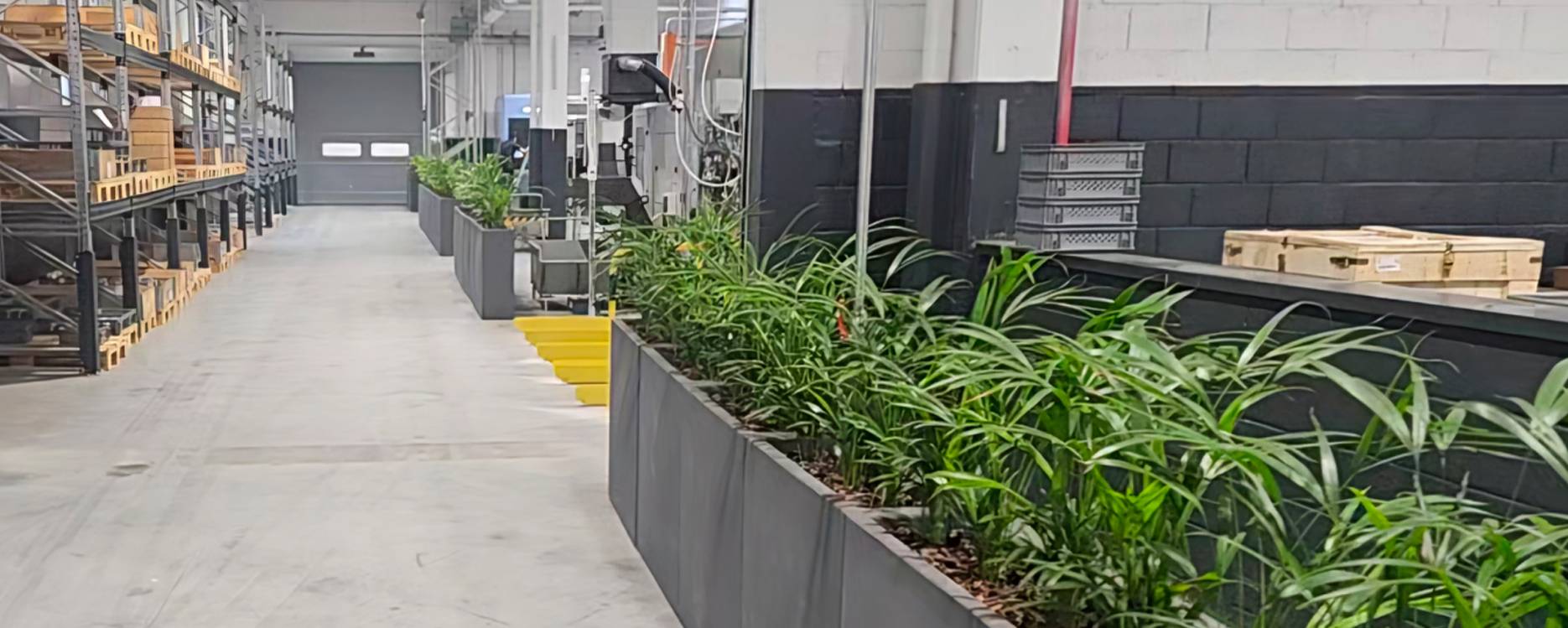 Environmental Policy